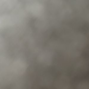 Meet your Posher, Gary